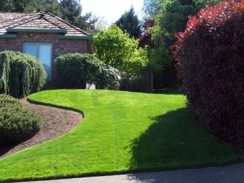 South East Lawn Care